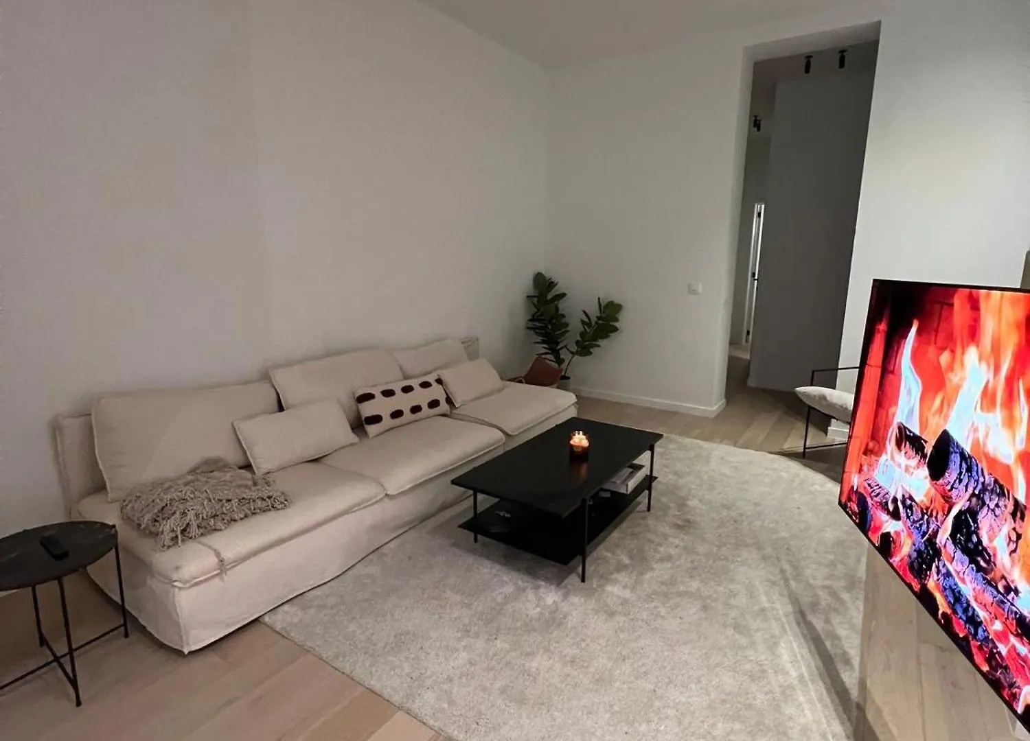 Appartement Volkstraat contacts
